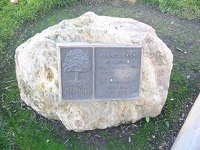 Campbell Union High School